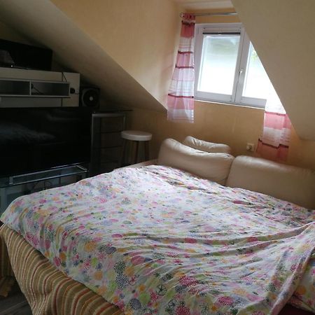 Wohlfuehloase - Zimmer, Appartment - Im Herzen Starnbergs Номер фото